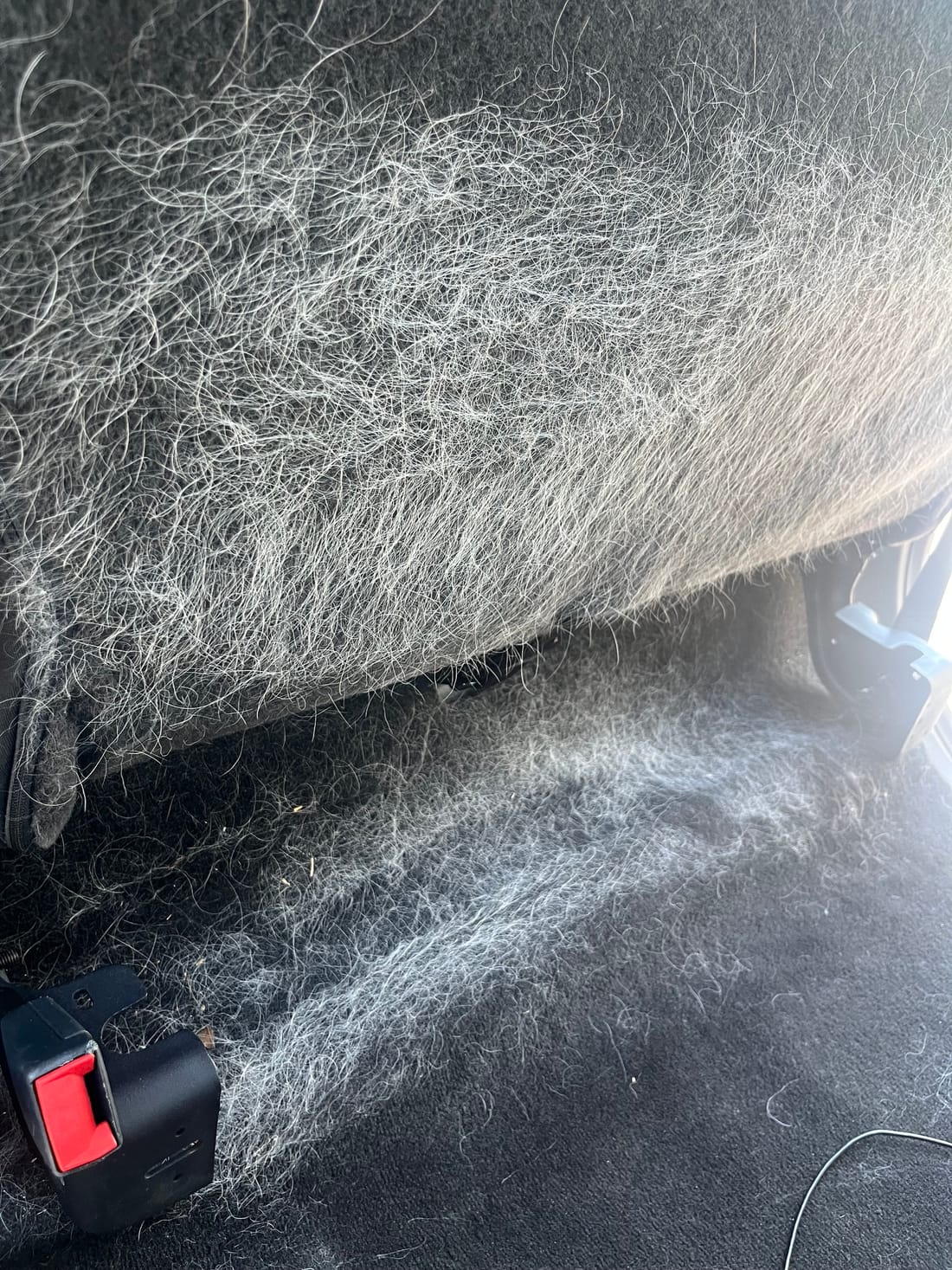 Before, a rear bench under a coat of pet hair, Peachtree Mobile Detail